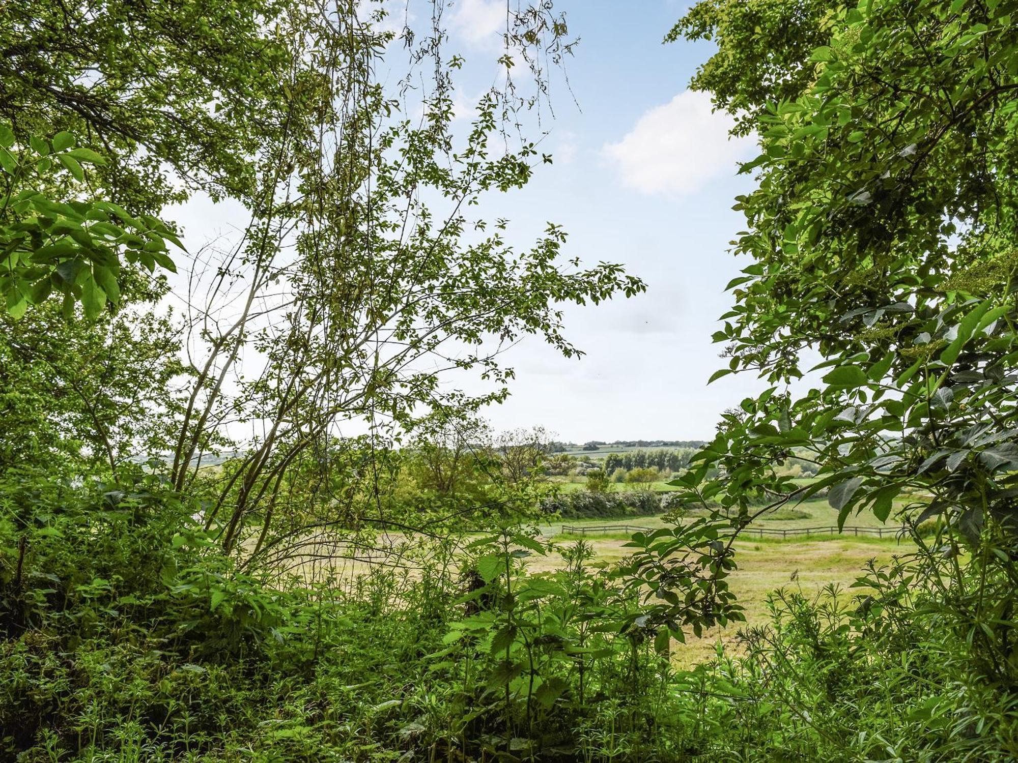 Wayside Cottage Adstock Zewnętrze zdjęcie